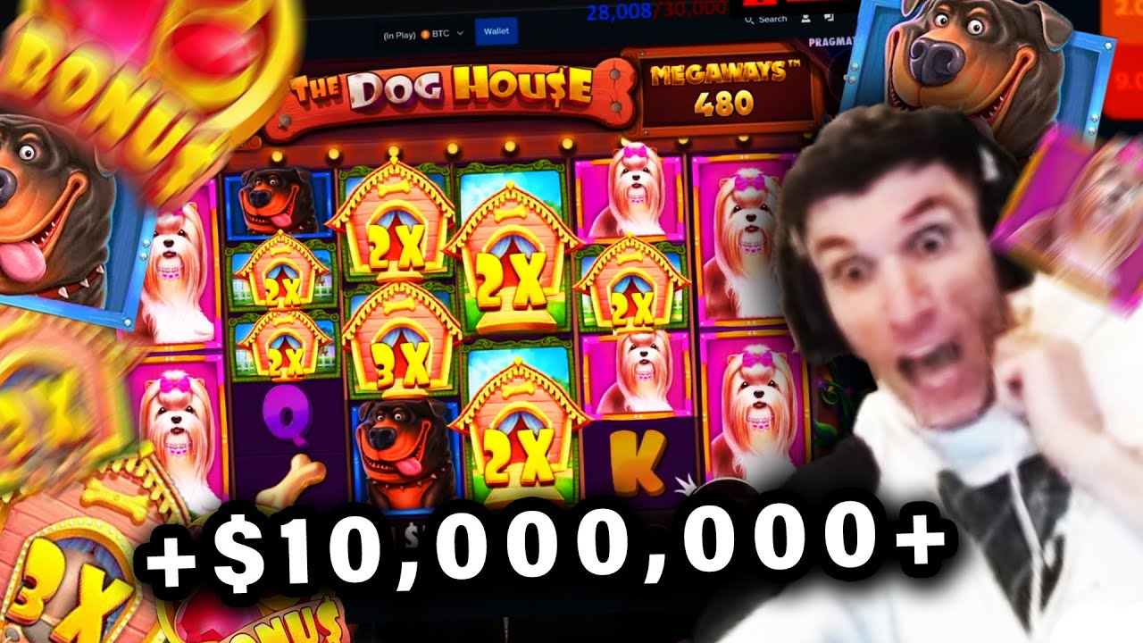 Trainwreckstv TOP 11 WINS from ,000,000+ Stream (domestic dog House PAYS)