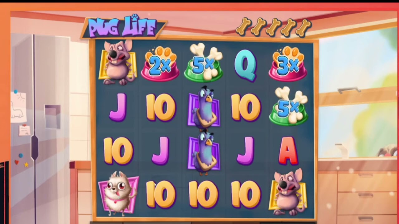 gambling online casino !! insane mega win , epic win oferte fara depunere inward descriere  similar