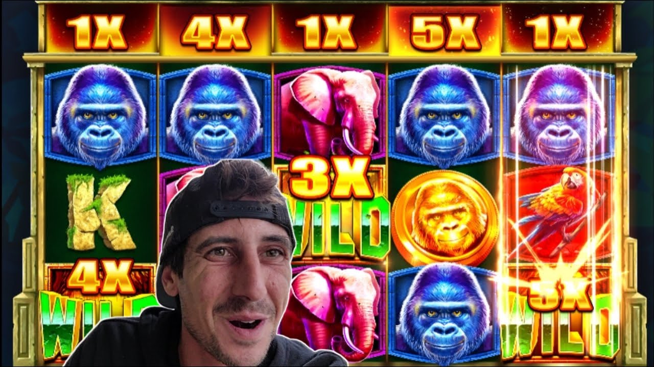 Jungle Gorilla Slot!!! Stake Online Gambling