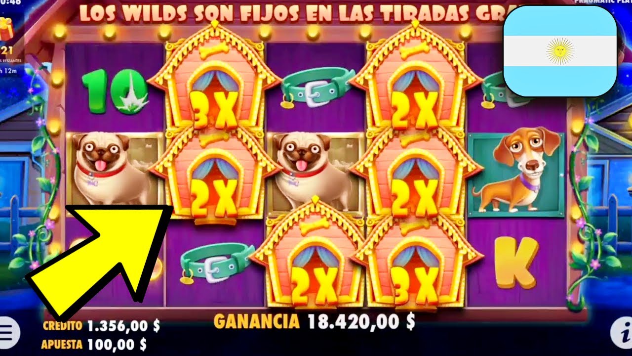 Saldo 00, Bet 0 / ¿Cuánto ganaré en “The domestic dog house”? Casino online en Argentina 2023