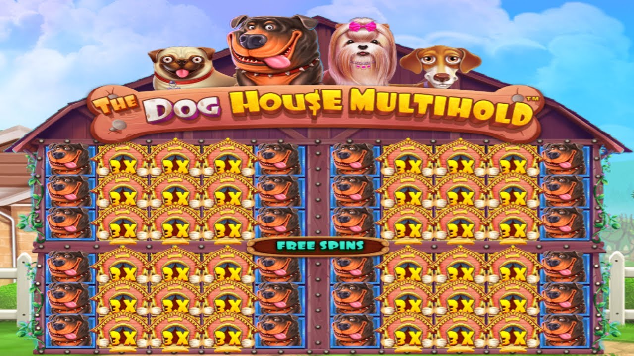 THE Canis familiaris HOUSE MULTIHOLD BIG WIN - BONUS BUY ONLINE CASINO - OPENED 4 WINDOWS