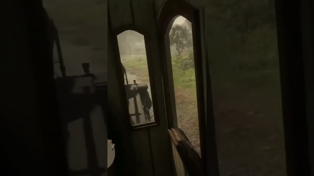 drive train firstly person #reddeadredemption #rdr2 #gaming #games #online